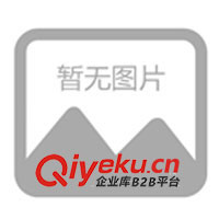 供應新型燈盤、格柵支架、歐式格柵支架